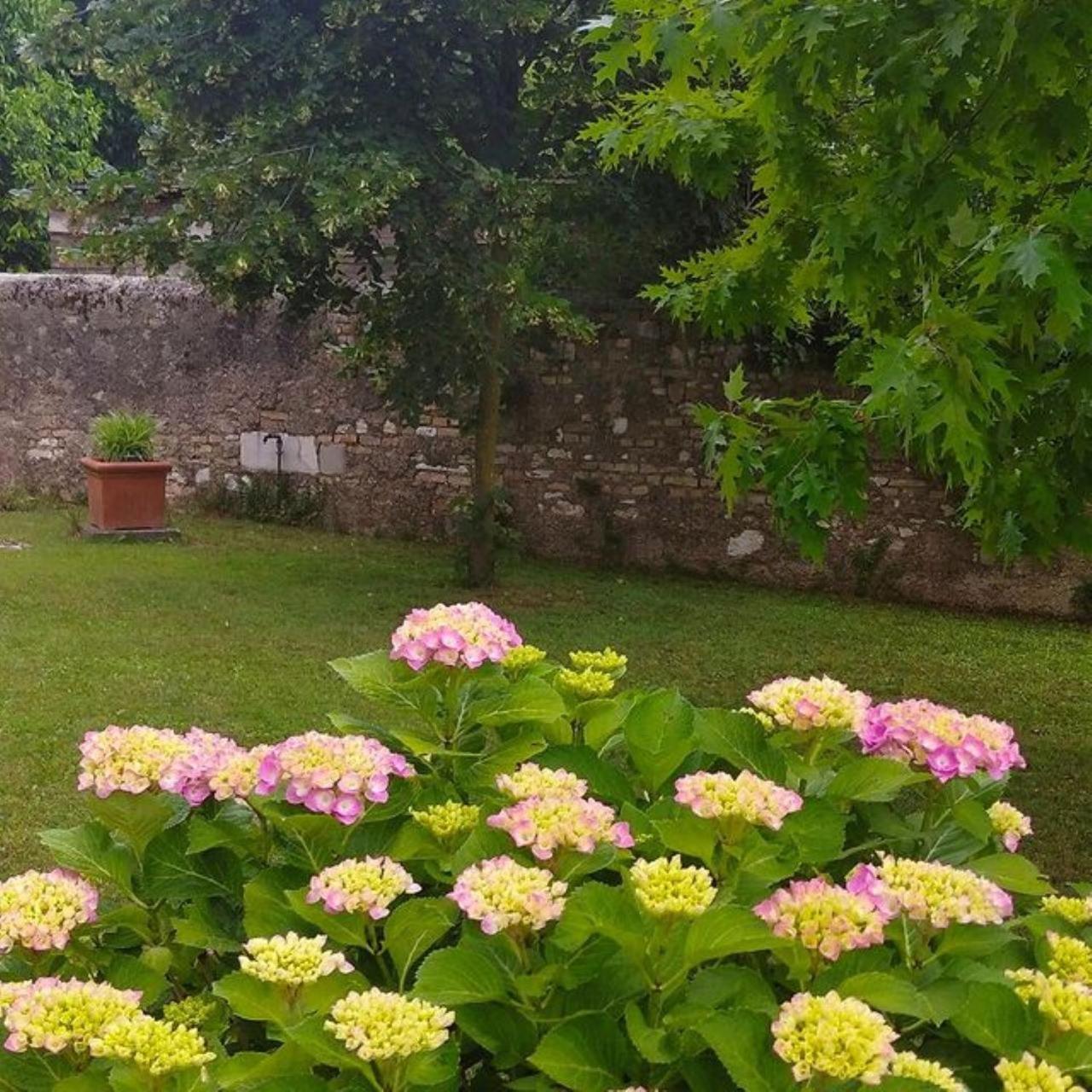 B&B Ernestine Family Home Caneva Exteriér fotografie